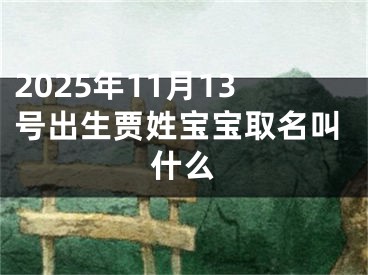 2025年11月13号出生贾姓宝宝取名叫什么