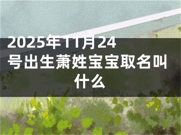 2025年11月24号出生萧姓宝宝取名叫什么