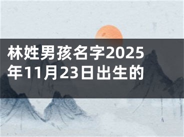 林姓男孩名字2025年11月23日出生的