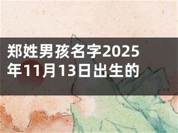 郑姓男孩名字2025年11月13日出生的