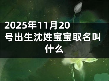 2025年11月20号出生沈姓宝宝取名叫什么