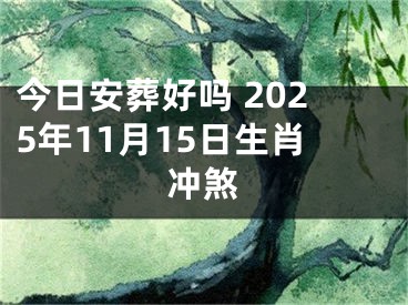 今日安葬好吗 2025年11月15日生肖冲煞