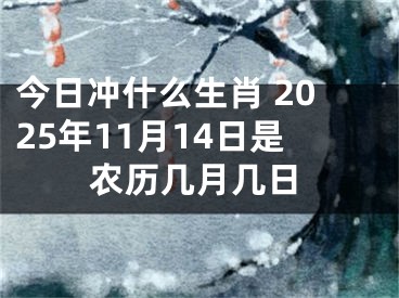 今日冲什么生肖 2025年11月14日是农历几月几日