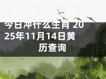 今日冲什么生肖 2025年11月14日黄历查询