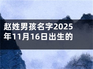 赵姓男孩名字2025年11月16日出生的