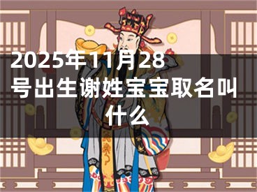 2025年11月28号出生谢姓宝宝取名叫什么