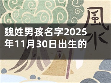 魏姓男孩名字2025年11月30日出生的