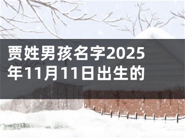 贾姓男孩名字2025年11月11日出生的