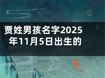 贾姓男孩名字2025年11月5日出生的