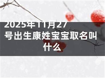 2025年11月27号出生康姓宝宝取名叫什么
