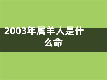 2003年属羊人是什么命