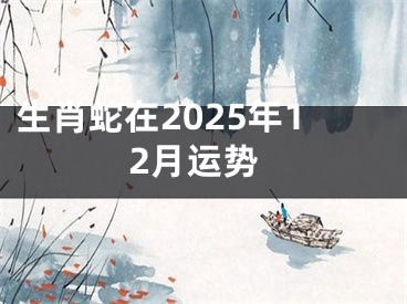 生肖蛇在2025年12月运势