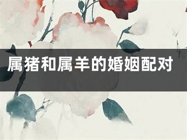 属猪和属羊的婚姻配对