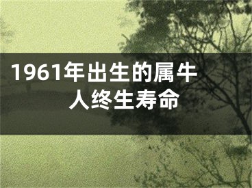 1961年出生的属牛人终生寿命