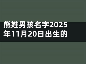 熊姓男孩名字2025年11月20日出生的