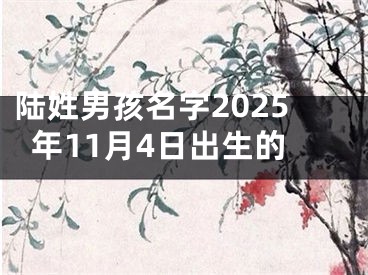 陆姓男孩名字2025年11月4日出生的