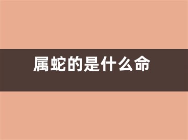 属蛇的是什么命