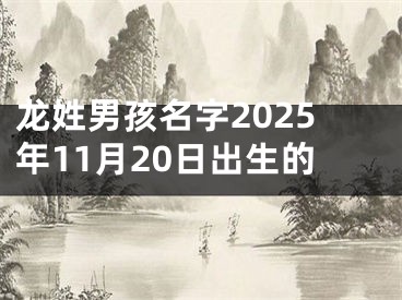 龙姓男孩名字2025年11月20日出生的