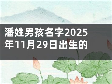 潘姓男孩名字2025年11月29日出生的