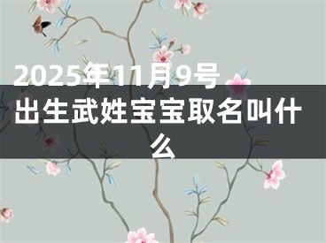 2025年11月9号出生武姓宝宝取名叫什么