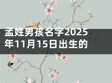 孟姓男孩名字2025年11月15日出生的