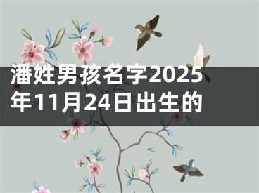 潘姓男孩名字2025年11月24日出生的