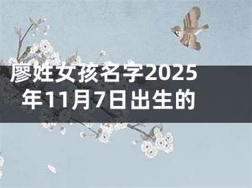 廖姓女孩名字2025年11月7日出生的