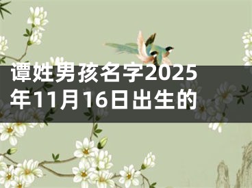谭姓男孩名字2025年11月16日出生的