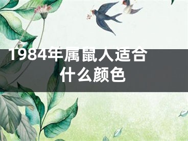 1984年属鼠人适合什么颜色