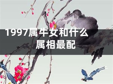 1997属牛女和什么属相最配