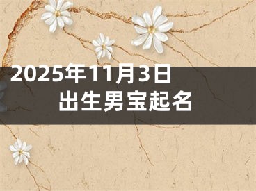 2025年11月3日出生男宝起名