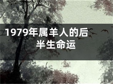 1979年属羊人的后半生命运