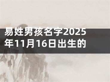 易姓男孩名字2025年11月16日出生的