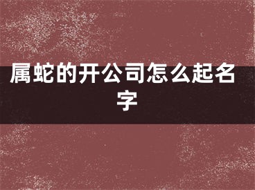 属蛇的开公司怎么起名字
