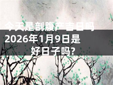 今天是剖腹产吉日吗 2026年1月9日是好日子吗?