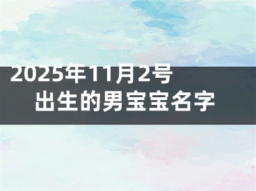 2025年11月2号出生的男宝宝名字