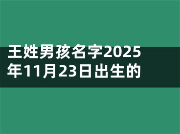 王姓男孩名字2025年11月23日出生的