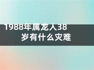 1988年属龙人38岁有什么灾难