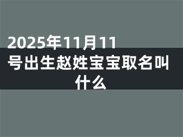 2025年11月11号出生赵姓宝宝取名叫什么
