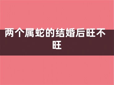 两个属蛇的结婚后旺不旺