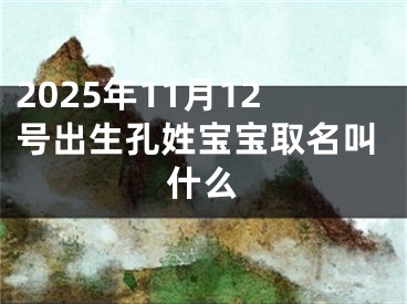 2025年11月12号出生孔姓宝宝取名叫什么