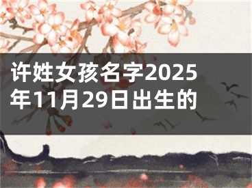 许姓女孩名字2025年11月29日出生的