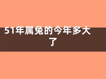 51年属兔的今年多大了