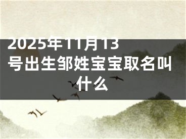 2025年11月13号出生邹姓宝宝取名叫什么