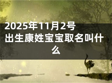 2025年11月2号出生康姓宝宝取名叫什么