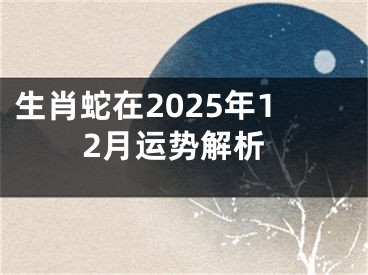 生肖蛇在2025年12月运势解析