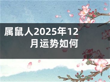 属鼠人2025年12月运势如何
