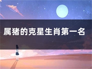 属猪的克星生肖第一名