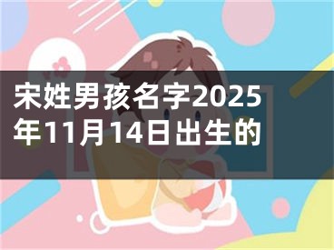 宋姓男孩名字2025年11月14日出生的