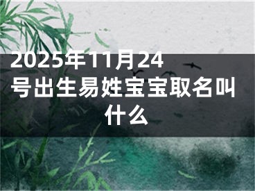 2025年11月24号出生易姓宝宝取名叫什么